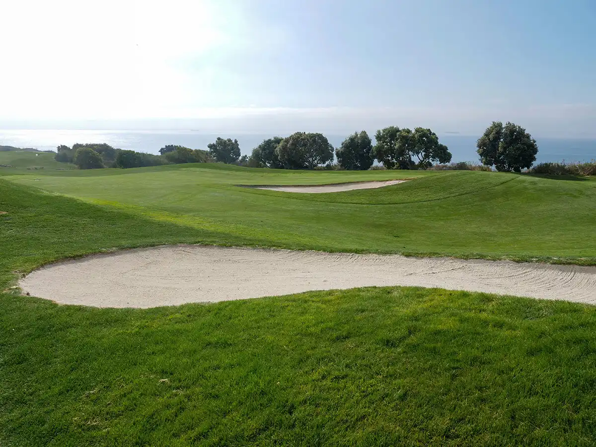 Golf Course Bunker and Fairway